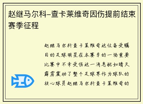赵继马尔科-查卡莱维奇因伤提前结束赛季征程